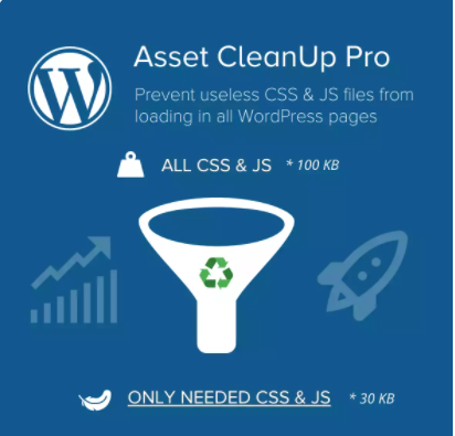 Asset CleanUp Pro, WordPress Plugin